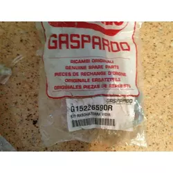 Чистики G15226590 Gaspardo